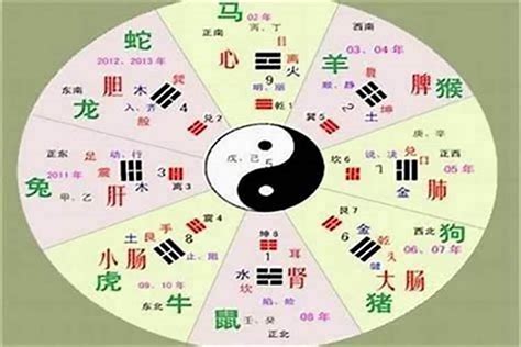 君字五行|君的五行属性是什么